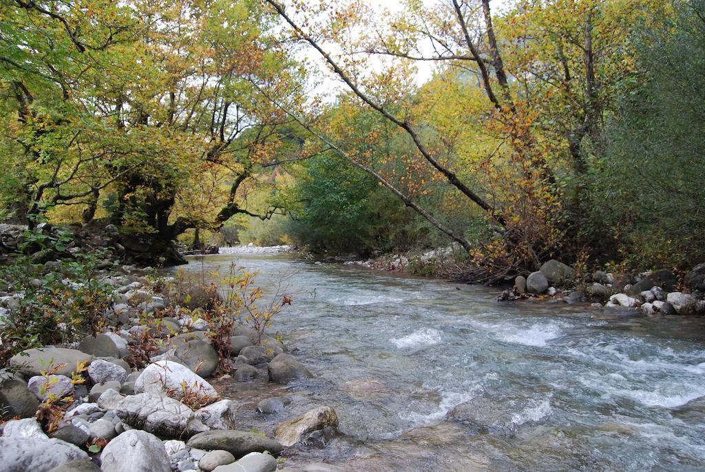 אנו חורה Dryades Guesthouse חדר תמונה